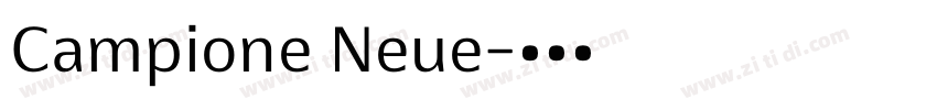 Campione Neue字体转换